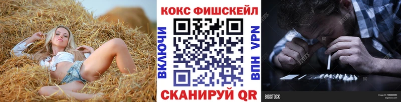 Купить закладки  Ельня  Кокаин FishScale 