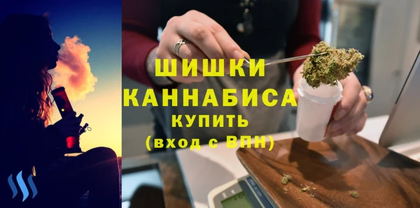 spice Каменногорск