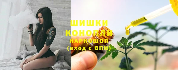 spice Каменногорск