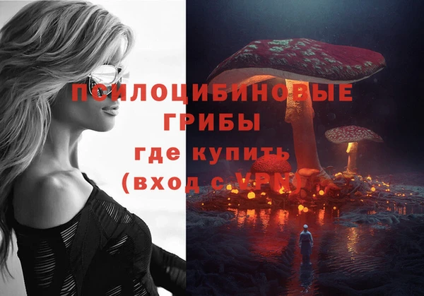 герыч Каменка
