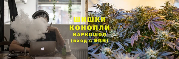 spice Каменногорск