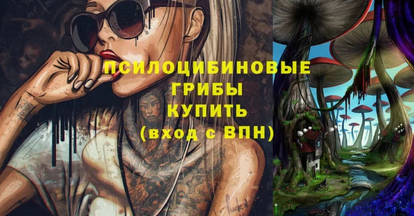 spice Каменногорск