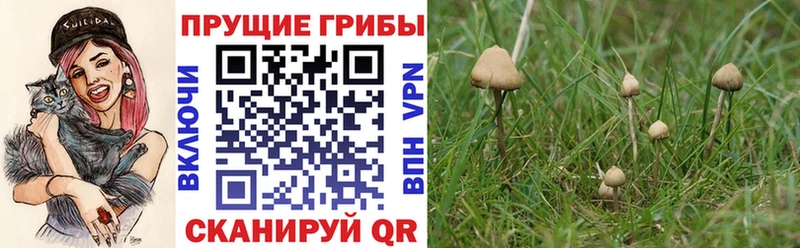Псилоцибиновые грибы MAGIC MUSHROOMS Купить Ельня